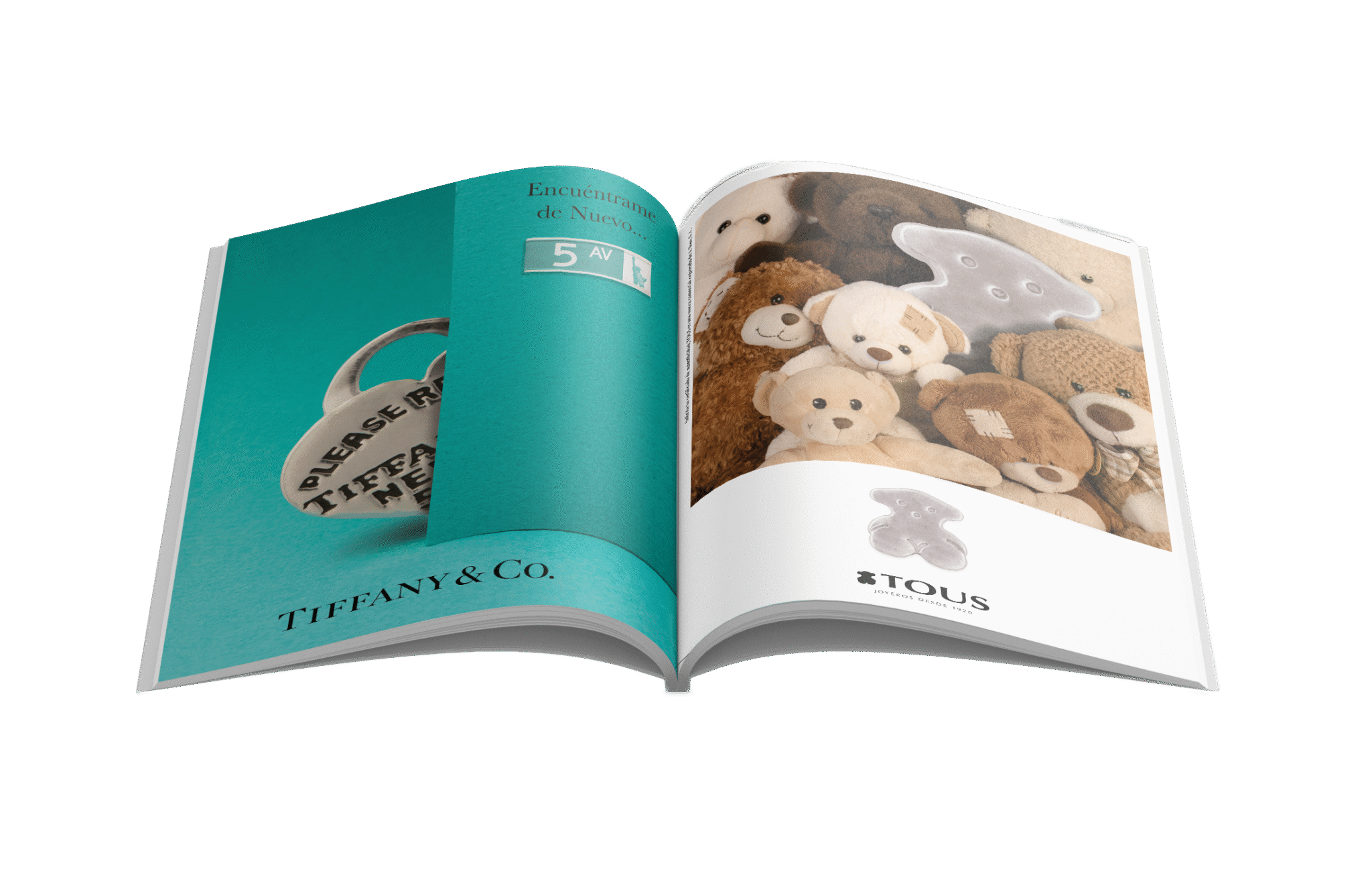 Tiffany y tous mock 1 sin fondo